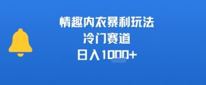 情趣内衣暴利玩法，冷门赛道，日入1k+-第一资源库