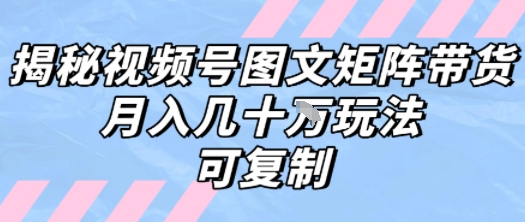 解密视频号图文矩阵带货,月入几个W的打法,可复制-第一资源库