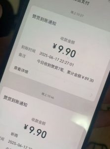 二次元男粉快速变现项目,私域卖虚拟产品,百分利润-第一资源库