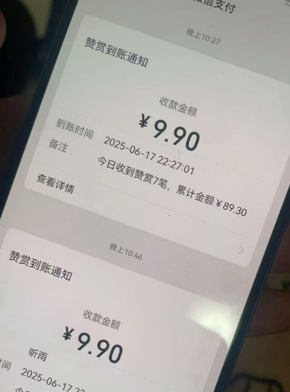 二次元男粉快速变现项目,私域卖虚拟产品,百分利润-第一资源库
