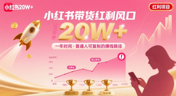 一年时间靠小红书带货项目年入20w+,最不能错的大红利项目-第一资源库