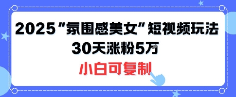 不露脸也能火!2025“氛围感美女”短视频玩法,30天涨粉5W小白可复制-第一资源库