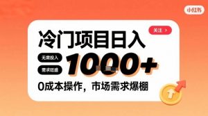 在小红书上发现个冷门路子,需求不小,零成本操作,每天能有1k进账-第一资源库