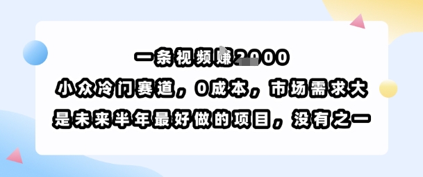 一条视频挣1k,小众冷门赛道,0成本,市场需求大,是未来半年最好做的项目,没有之一-第一资源库