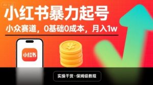 小红书暴力起号，小众赛道，0基础0成本，月入1w-第一资源库