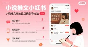小说推文小红书高转化引导方法实操课,小说推文高效且正确引导方法-第一资源库