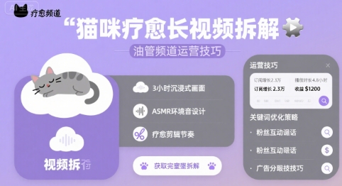 猫咪疗愈长视频拆解 &油管频道运营技巧-第一资源库