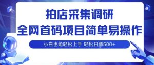 拍店采集调研,全网首码项目,简单易操作, 小白也能轻松上手,多账号操作,轻松日入5张【揭秘】-第一资源库