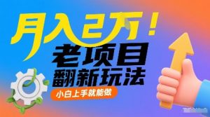 月入2W!老项目翻新玩法,小白上手就能做,非常容易上手-第一资源库