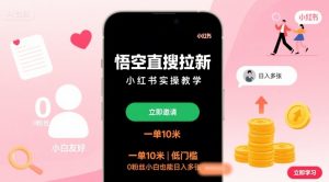 悟空直搜拉新小红书实操教学,一单10米,低门槛,0粉丝小白也能日入多张-第一资源库