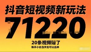 抖音短视频新玩法,20条视频挣了1w+,新手小白当天也可以出单-第一资源库