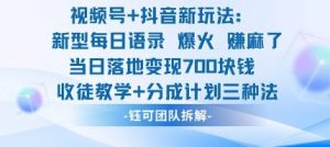 视频号加抖音新玩法:爆火新型每日语录,收徒教学加分成计划,三种变现玩法,当日变现7张-第一资源库