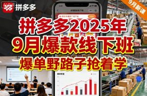 拼多多2025年9月爆款线下班,爆单野路子抢着学-第一资源库