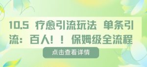 疗愈引流玩法,单条引流百人,保姆级全流程-第一资源库