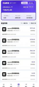 2025风口TK剪映capcut拉新项目,极限高客单,市场空白,2025下半年真正的蓝海项目-第一资源库