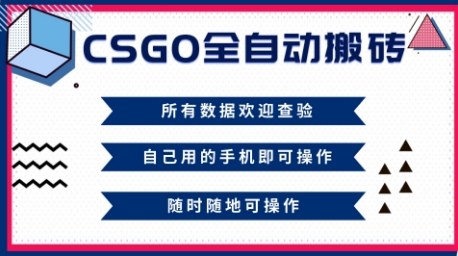 CSGO全自动搬砖,年底钱回家好项目,当天可拿到结果,新手小白轻松月入1W+【揭秘】-第一资源库