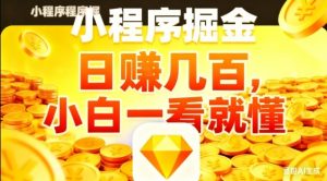 微信小程序掘金项目,日入几张,项目简单,小白一看就懂,5分钟就能学会上手操作【揭秘】-第一资源库