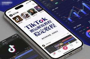 TikTok搬运解说教程,稳定收益,操作简单易懂,批量可做,持续稳定-第一资源库