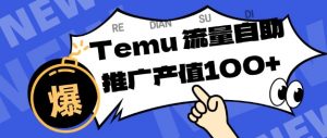 专注于Temu商家提供精准曝光浏览量,助力店铺排名提升和转化,单机日收入80-130【揭秘】-第一资源库