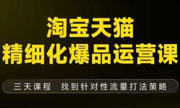 淘宝天猫精细化爆品运营（9月12-14杭州线下课），全方位拆解爆品打造逻辑【音频+字幕+文档】-第一资源库