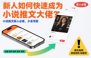 新人如何快速成为小说推文大佬？小说推文新人必看，少走弯路-第一资源库