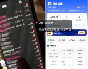 移动云盘项目,我们自己实操爆单一周4000与经验总结-第一资源库