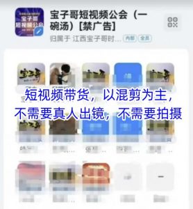 宝子哥头部团队短视频带货,以混剪为主,不需要真人出镜,不需要拍摄【更新11月】-第一资源库
