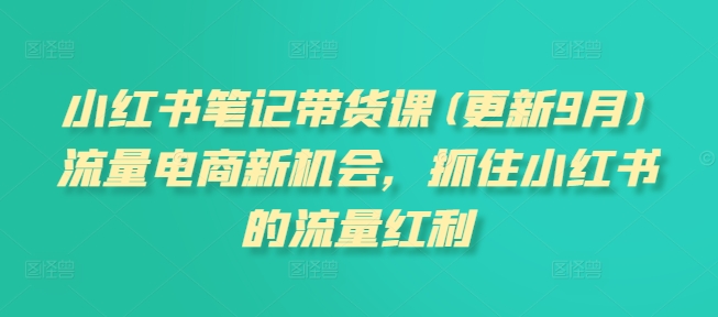 小红书笔记带货课，流量电商新机会，抓住小红书的流量红利(更新26年2月)-第一资源库